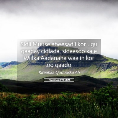 Picture 05 - Yooxanaa 3:14 SOM - Sidii Muuse abeesadii kor ugu qaaday cidlada, - Bible Verse Picture