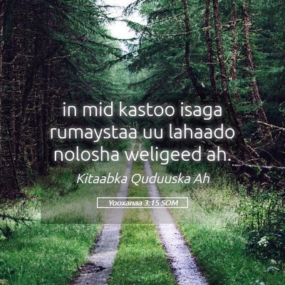 Picture 05 - Yooxanaa 3:15 SOM - in mid kastoo isaga rumaystaa uu lahaado nolosha - Bible Verse Picture