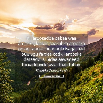 Picture 05 - Yooxanaa 3:29 SOM - Kii aroosadda qabaa waa arooska, laakiin - Bible Verse Picture