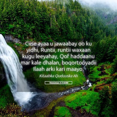 Picture 05 - Yooxanaa 3:3 SOM - Ciise ayaa u jawaabay oo ku yidhi, Runtii, runtii - Bible Verse Picture