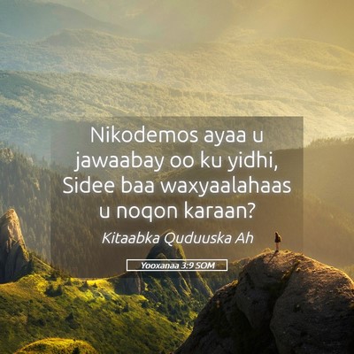 Picture 05 - Yooxanaa 3:9 SOM - Nikodemos ayaa u jawaabay oo ku yidhi, Sidee baa - Bible Verse Picture
