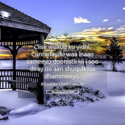 Picture 05 - Yooxanaa 4:34 SOM - Ciise wuxuu ku yidhi, Cuntadaydu waa inaan - Bible Verse Picture