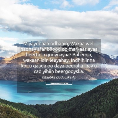 Picture 05 - Yooxanaa 4:35 SOM - Miyaydnaan odhanin, Waxaa weli hadhay afar bilood - Bible Verse Picture