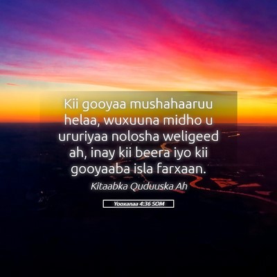 Picture 05 - Yooxanaa 4:36 SOM - Kii gooyaa mushahaaruu helaa, wuxuuna midho u - Bible Verse Picture