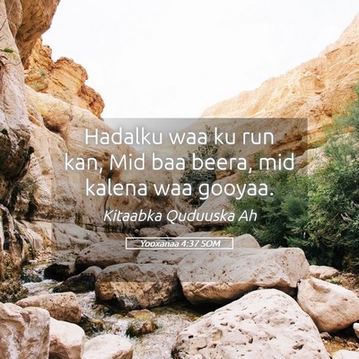 Picture 05 - Yooxanaa 4:37 SOM - Hadalku waa ku run kan, Mid baa beera, mid kalena - Bible Verse Picture