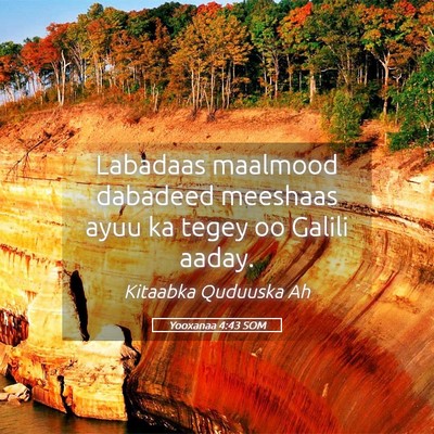 Picture 05 - Yooxanaa 4:43 SOM - Labadaas maalmood dabadeed meeshaas ayuu ka tegey - Bible Verse Picture