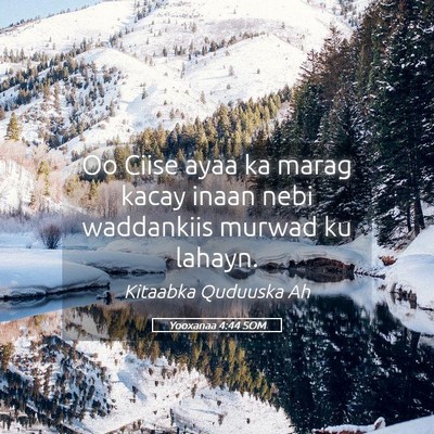 Picture 05 - Yooxanaa 4:44 SOM - Oo Ciise ayaa ka marag kacay inaan nebi - Bible Verse Picture