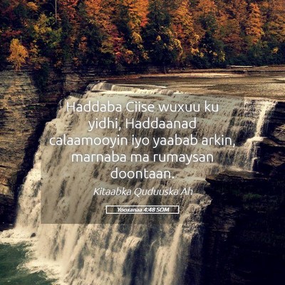 Picture 05 - Yooxanaa 4:48 SOM - Haddaba Ciise wuxuu ku yidhi, Haddaanad - Bible Verse Picture