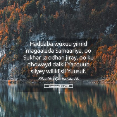 Picture 05 - Yooxanaa 4:5 SOM - Haddaba wuxuu yimid magaalada Samaariya, oo - Bible Verse Picture