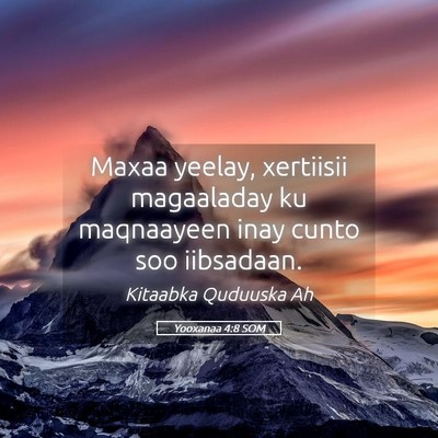 Picture 05 - Yooxanaa 4:8 SOM - Maxaa yeelay, xertiisii magaaladay ku maqnaayeen - Bible Verse Picture