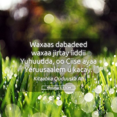 Picture 05 - Yooxanaa 5:1 SOM - Waxaas dabadeed waxaa jirtay iiddii Yuhuudda, oo - Bible Verse Picture