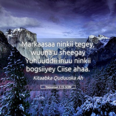 Picture 05 - Yooxanaa 5:15 SOM - Markaasaa ninkii tegey, wuuna u sheegay Yuhuuddii - Bible Verse Picture