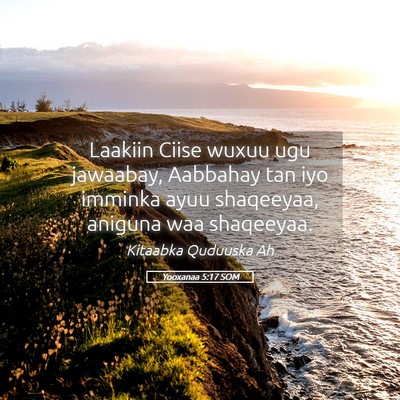 Picture 05 - Yooxanaa 5:17 SOM - Laakiin Ciise wuxuu ugu jawaabay, Aabbahay tan - Bible Verse Picture