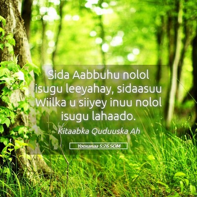 Picture 05 - Yooxanaa 5:26 SOM - Sida Aabbuhu nolol isugu leeyahay, sidaasuu - Bible Verse Picture