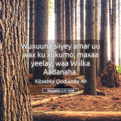Picture 05 - Yooxanaa 5:27 SOM - Wuxuuna siiyey amar uu wax ku xukumo, maxaa - Bible Verse Picture