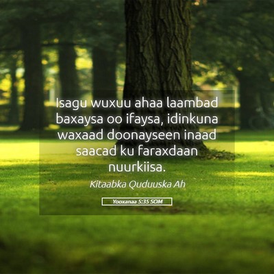 Picture 05 - Yooxanaa 5:35 SOM - Isagu wuxuu ahaa laambad baxaysa oo ifaysa, - Bible Verse Picture