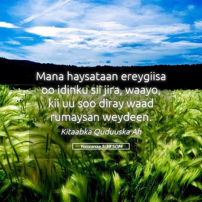 Picture 05 - Yooxanaa 5:38 SOM - Mana haysataan ereygiisa oo idinku sii jira, - Bible Verse Picture