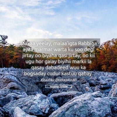 Picture 05 - Yooxanaa 5:4 SOM - Maxaa yeelay, malaa'igta Rabbiga ayaa marmar - Bible Verse Picture