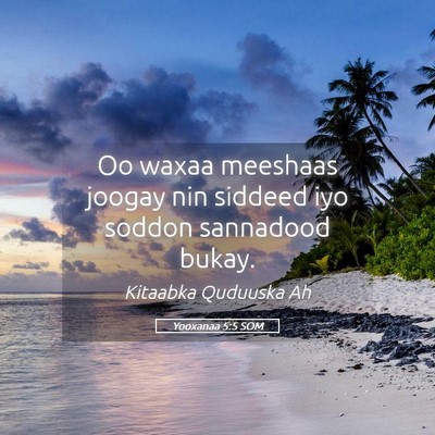 Picture 05 - Yooxanaa 5:5 SOM - Oo waxaa meeshaas joogay nin siddeed iyo soddon - Bible Verse Picture