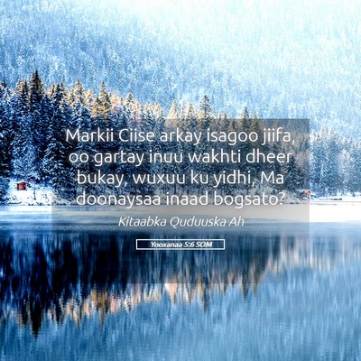 Picture 05 - Yooxanaa 5:6 SOM - Markii Ciise arkay isagoo jiifa, oo gartay inuu - Bible Verse Picture