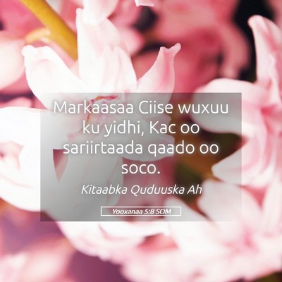 Picture 05 - Yooxanaa 5:8 SOM - Markaasaa Ciise wuxuu ku yidhi, Kac oo - Bible Verse Picture