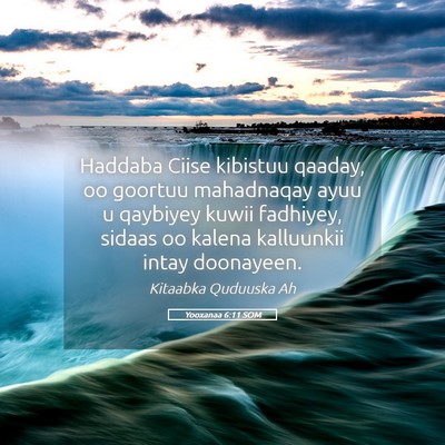Picture 05 - Yooxanaa 6:11 SOM - Haddaba Ciise kibistuu qaaday, oo goortuu - Bible Verse Picture