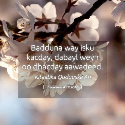 Picture 05 - Yooxanaa 6:18 SOM - Badduna way isku kacday, dabayl weyn oo dhacday - Bible Verse Picture