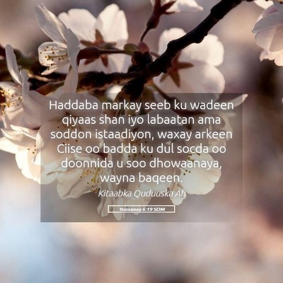 Picture 05 - Yooxanaa 6:19 SOM - Haddaba markay seeb ku wadeen qiyaas shan iyo - Bible Verse Picture