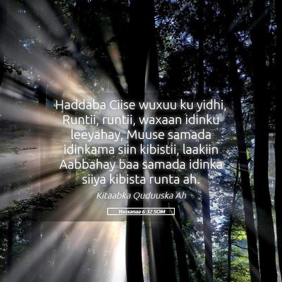 Picture 05 - Yooxanaa 6:32 SOM - Haddaba Ciise wuxuu ku yidhi, Runtii, runtii, - Bible Verse Picture