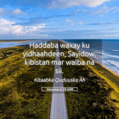 Picture 05 - Yooxanaa 6:34 SOM - Haddaba waxay ku yidhaahdeen, Sayidow, kibistan - Bible Verse Picture