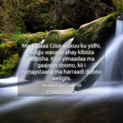 Picture 05 - Yooxanaa 6:35 SOM - Markaasaa Ciise wuxuu ku yidhi, Anigu waxaan ahay - Bible Verse Picture