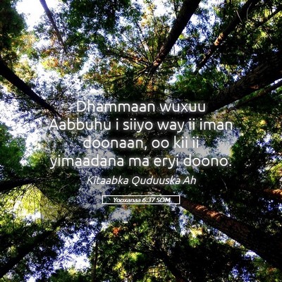 Picture 05 - Yooxanaa 6:37 SOM - Dhammaan wuxuu Aabbuhu i siiyo way ii iman - Bible Verse Picture