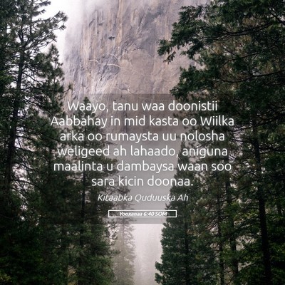 Picture 05 - Yooxanaa 6:40 SOM - Waayo, tanu waa doonistii Aabbahay in mid kasta - Bible Verse Picture