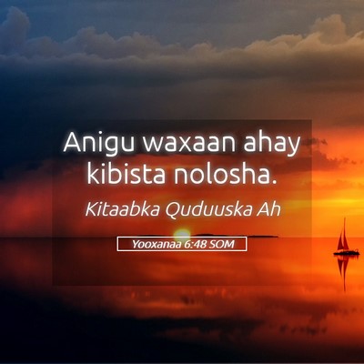 Picture 05 - Yooxanaa 6:48 SOM - Anigu waxaan ahay kibista - Bible Verse Picture