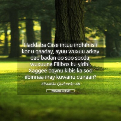 Picture 05 - Yooxanaa 6:5 SOM - Haddaba Ciise intuu indhihiisii kor u qaaday, - Bible Verse Picture