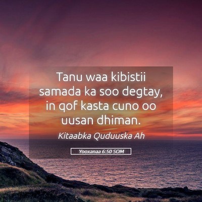 Picture 05 - Yooxanaa 6:50 SOM - Tanu waa kibistii samada ka soo degtay, in qof - Bible Verse Picture