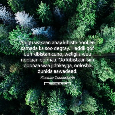 Picture 05 - Yooxanaa 6:51 SOM - Anigu waxaan ahay kibista nool ee samada ka soo - Bible Verse Picture