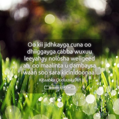 Picture 05 - Yooxanaa 6:54 SOM - Oo kii jidhkayga cuna oo dhiiggayga cabba wuxuu - Bible Verse Picture