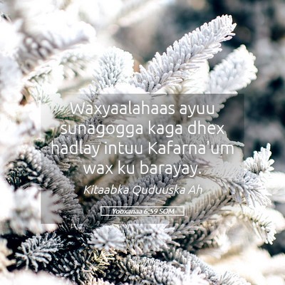 Picture 05 - Yooxanaa 6:59 SOM - Waxyaalahaas ayuu sunagogga kaga dhex hadlay - Bible Verse Picture