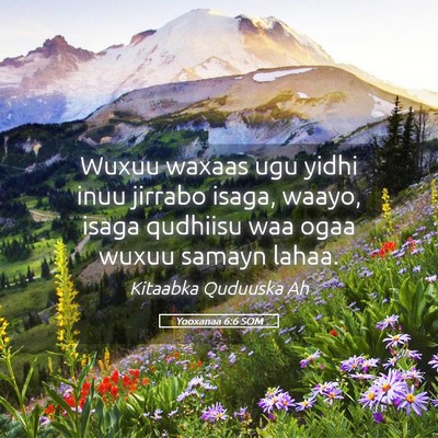Picture 05 - Yooxanaa 6:6 SOM - Wuxuu waxaas ugu yidhi inuu jirrabo isaga, waayo, - Bible Verse Picture