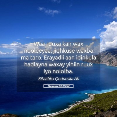 Picture 05 - Yooxanaa 6:63 SOM - Waa ruuxa kan wax nooleeyaa, jidhkuse waxba ma - Bible Verse Picture