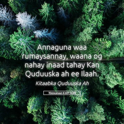 Picture 05 - Yooxanaa 6:69 SOM - Annaguna waa rumaysannay, waana og nahay inaad - Bible Verse Picture