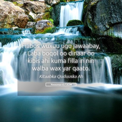 Picture 05 - Yooxanaa 6:7 SOM - Filibos wuxuu ugu jawaabay, Laba boqol oo dinaar - Bible Verse Picture