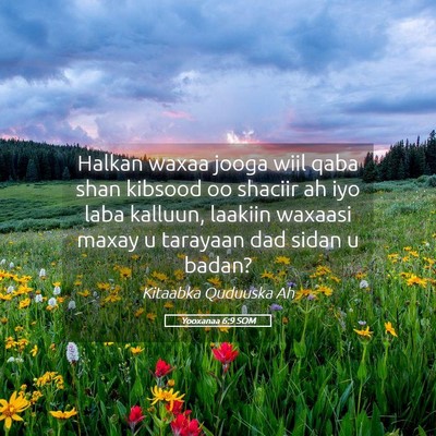 Picture 05 - Yooxanaa 6:9 SOM - Halkan waxaa jooga wiil qaba shan kibsood oo - Bible Verse Picture