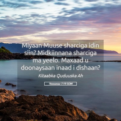 Picture 05 - Yooxanaa 7:19 SOM - Miyaan Muuse sharciga idin siin? Midkiinnana - Bible Verse Picture