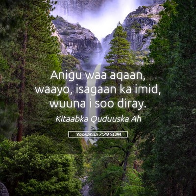 Picture 05 - Yooxanaa 7:29 SOM - Anigu waa aqaan, waayo, isagaan ka imid, wuuna i - Bible Verse Picture