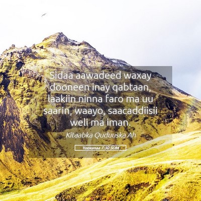 Picture 05 - Yooxanaa 7:30 SOM - Sidaa aawadeed waxay dooneen inay qabtaan, - Bible Verse Picture