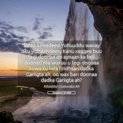 Picture 05 - Yooxanaa 7:35 SOM - Sidaa aawadeed Yuhuuddu waxay isku yidhaahdeen, - Bible Verse Picture