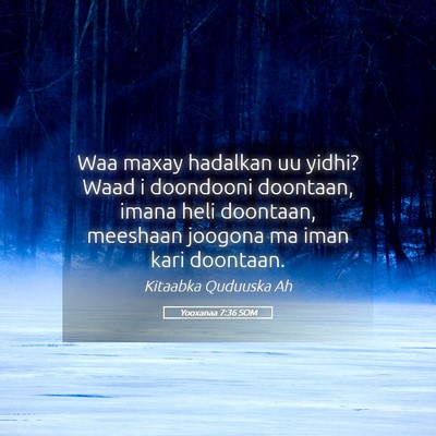 Picture 05 - Yooxanaa 7:36 SOM - Waa maxay hadalkan uu yidhi? Waad i doondooni - Bible Verse Picture