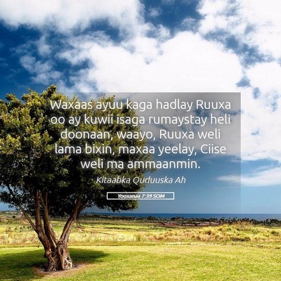 Picture 05 - Yooxanaa 7:39 SOM - Waxaas ayuu kaga hadlay Ruuxa oo ay kuwii isaga - Bible Verse Picture